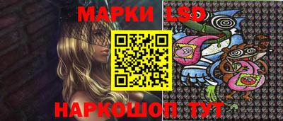 прущие грибы Будённовск