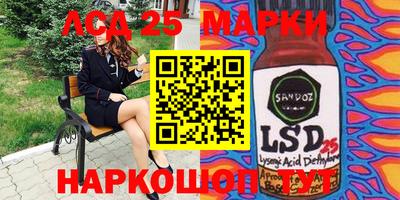 прущие грибы Будённовск