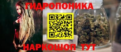 прущие грибы Будённовск