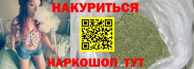 прущие грибы Будённовск