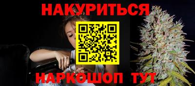 прущие грибы Будённовск